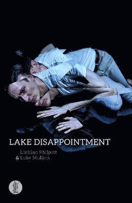 Cover for Lachlan Philpott · Lake Disappointment (Paperback Book) (2017)