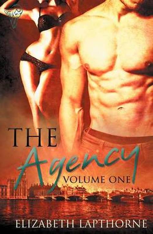 Cover for Elizabeth Lapthorne · The Agency Vol 1 (Volume 1) (Taschenbuch) (2012)