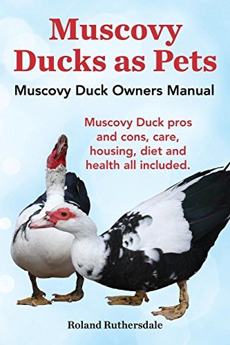 Cover for Roland Ruthersdale · Muscovy Ducks As Pets. Muscovy Duck Owners Manual. Muscovy Duck Pros and Cons, Care, Housing, Diet and Health All Included. (Pocketbok) (2014)