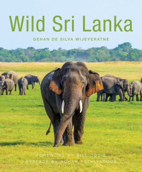 Cover for Gehan De Silva Wijeyeratne · Wild Sri Lanka (2nd edition) (Paperback Book) (2019)