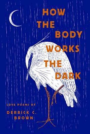 Cover for Derrick C Brown · How the Body Works the Dark (Hardcover Book) (2017)