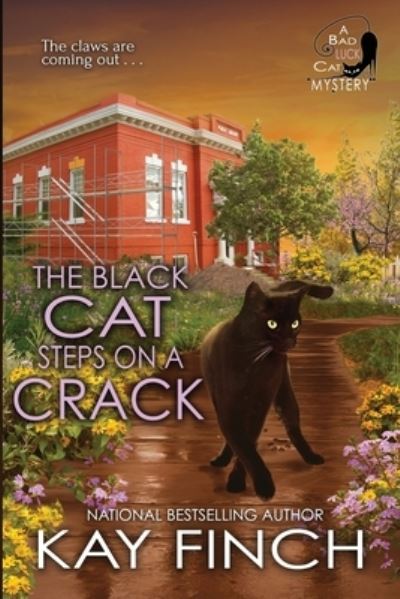 Cover for Kay Finch · The Black Cat Steps on a Crack (Book) (2019)