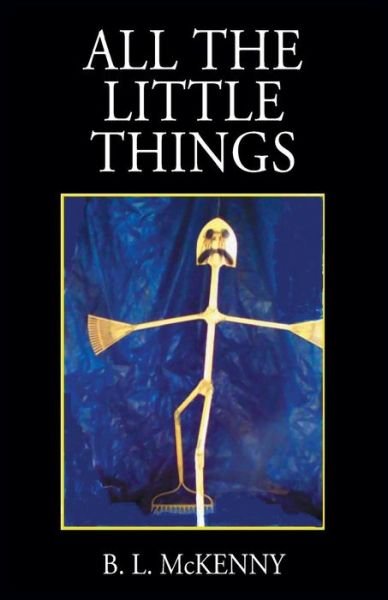 All the Little Things - B L McKenny - Books - Outskirts Press - 9781977204097 - November 19, 2018
