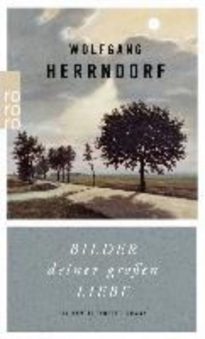 Cover for Wolfgang Herrndorf · Bilder deiner grossen Liebe (Paperback Book) (2015)