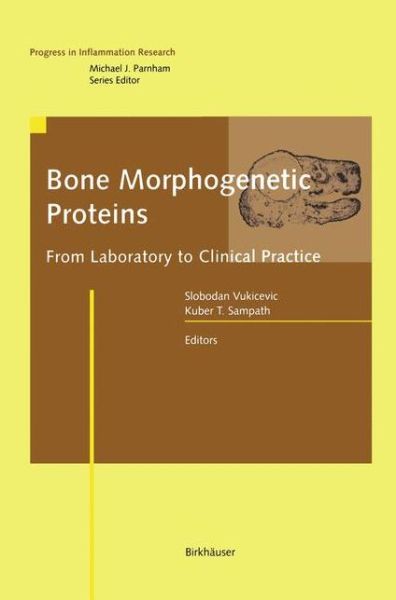 Cover for Bruce T Lindsey · Bone Morphogenetic Proteins: From Laboratory to Clinical Practice - Progress in Inflammation Research (Hardcover Book) [2002 edition] (2002)
