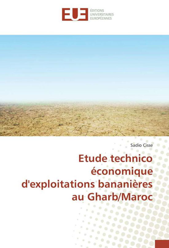 Cover for Cisse · Etude technico économique d'explo (Bok)