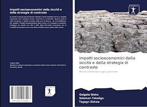 Cover for Wako · Impatti Socioeconomici Della Sicci (Bok)