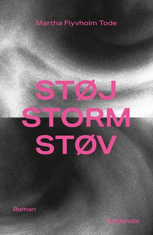 Cover for Martha Flyvholm Tode · Støj, storm, støv (Taschenbuch) [1. Ausgabe] (2023)
