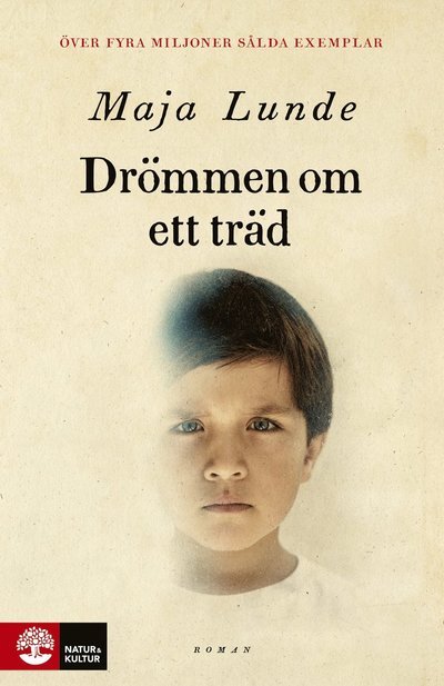 Cover for Maja Lunde · Drömmen om ett träd (Indbundet Bog)