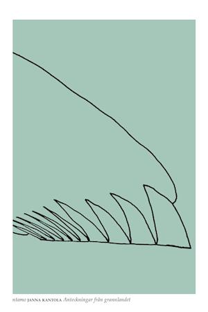 Cover for Janna Kantola · Anteckningar från grannlandet (Paperback Book) (2017)