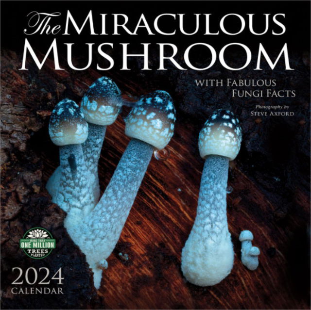 The Miraculous Mushroom 2024 Calendar With Fabulous Fungi Facts   9798898000097 