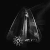 Cover for Sum of R · Orga (CD) (2017)
