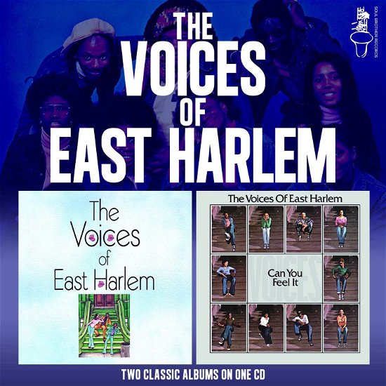 Cover for Voices Of East Harlem · Can You Feel It (LP) (2007)