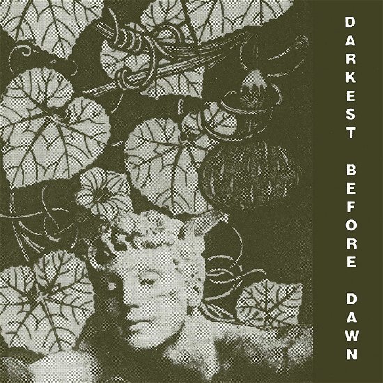 Cover for Dark Day · Darkest Before Dawn (LP) (2019)