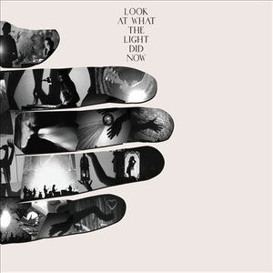 Look at What the Light Di - Feist - Films - POP - 0827590002098 - 12 juillet 2010