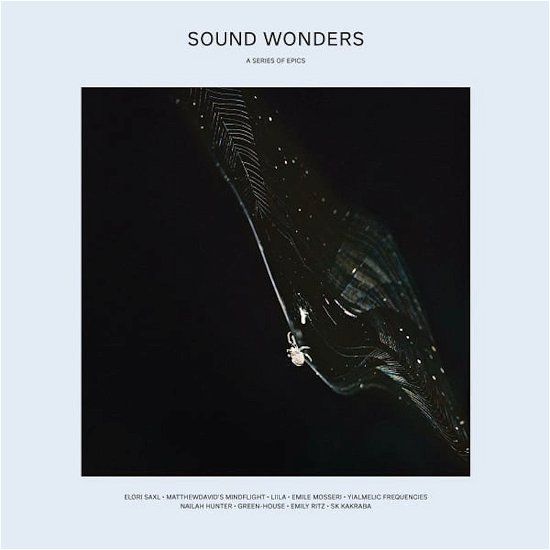 Cover for Sound Wonders (LP) (2021)