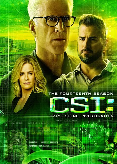 Cover for Csi: Las Vegas · Csi: Las Vegas Season 14 DVD S-t (DVD) (2015)