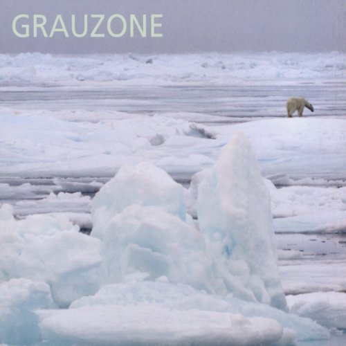 Cover for Grauzone · 1980-1982 Remastered (CD) [Remastered edition] (2010)