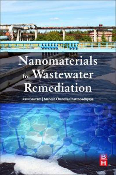 Cover for Gautam, Ravi Kumar (Environmental Chemistry Research Laboratory, Department of Chemistry, University of Allahabad, Allahabad 211 002, India) · Nanomaterials for Wastewater Remediation (Paperback Book) (2016)