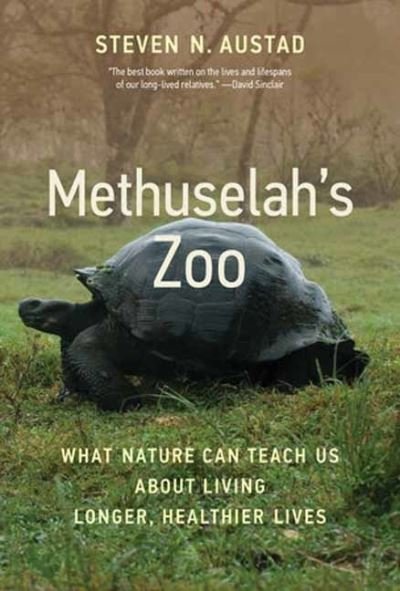 Cover for Steven N. Austad · Methuselah's Zoo: What Nature Can Teach Us about Living Longer, Healthier Lives (Innbunden bok) (2022)