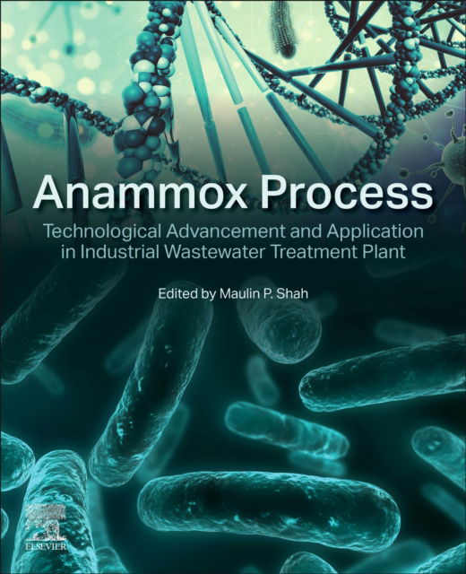 Cover for Anammox Process: Technological Advancement and Application in Industrial Wastewater Treatment Plant (Paperback Book) (2024)
