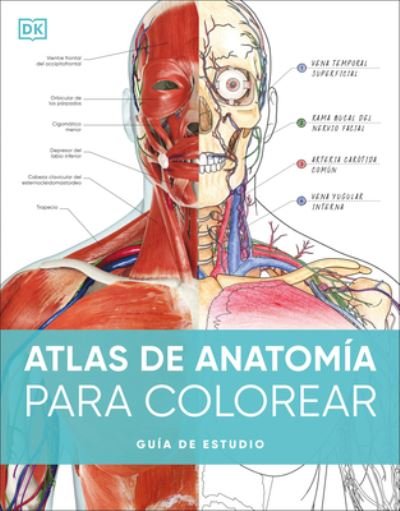 Cover for Dk · Atlas de Anatomía para Colorear (Book) (2024)