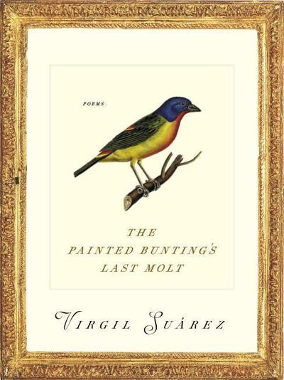 Cover for Virgil Suarez · The Painted Bunting's Last Molt: Poems - Pitt Poetry Series (Paperback Book) (2020)