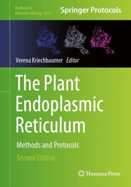 The Plant Endoplasmic Reticulum: Methods and Protocols - Methods in Molecular Biology - - Books - Springer-Verlag New York Inc. - 9781071637098 - February 28, 2024