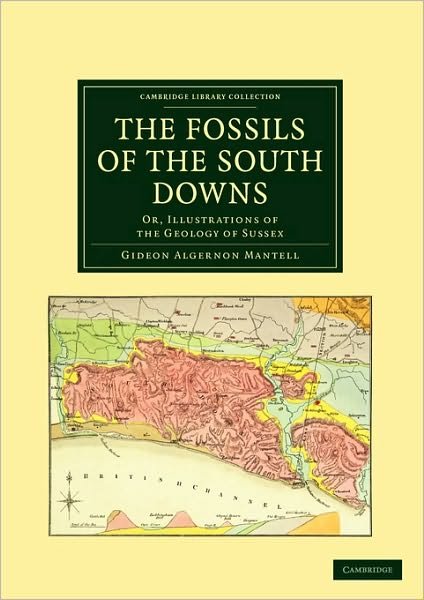 Cover for Gideon Algernon Mantell · The Fossils of the South Downs: Or, Illustrations of the Geology of Sussex - Cambridge Library Collection - Earth Science (Paperback Bog) (2010)
