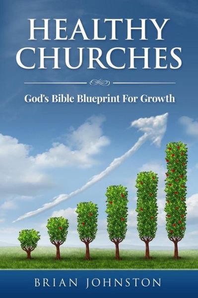 Cover for Brian Johnston · Healthy Churches: God's Bible Blueprint for Growth (Paperback Book) (2015)