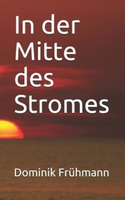 Cover for Dominik Fruhmann · In Der Mitte Des Stromes (Paperback Book) (2019)