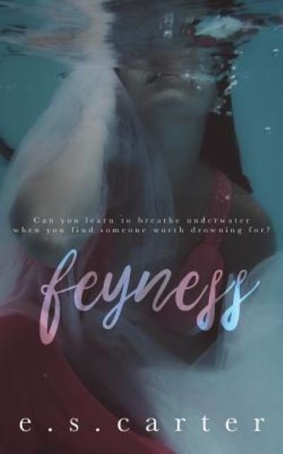 Cover for E S Carter · Feyness (Paperback Book) (2016)