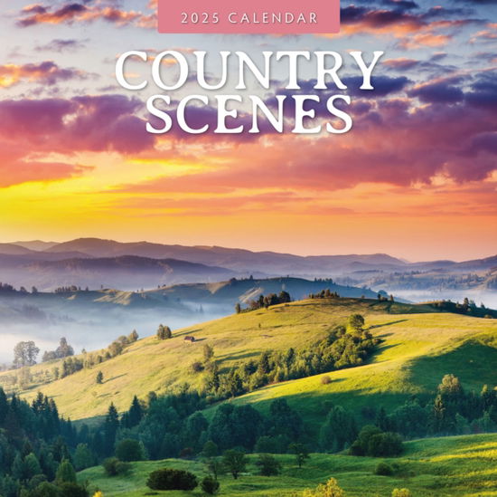 Cover for Red Robin · Country Scenes 2025 Square Wall Calendar (Paperback Book) (2024)