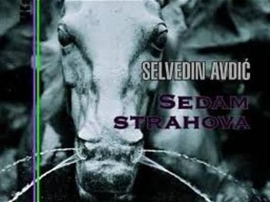 Cover for Selvedin Avdic · Seven Terrors (Paperback Book) (2012)