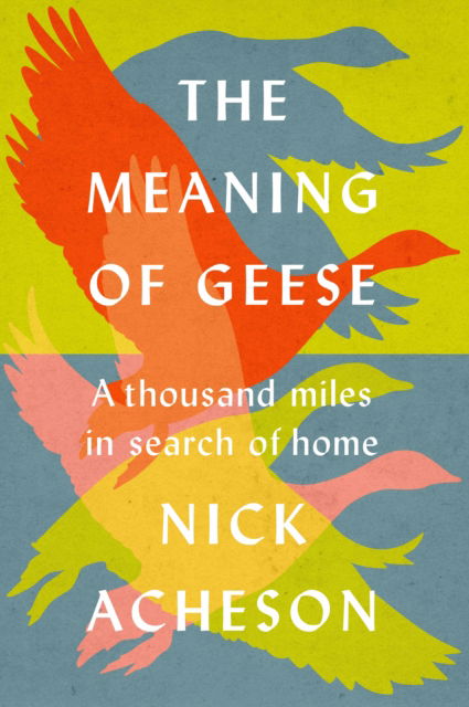 Cover for Nick Acheson · The Meaning of Geese: A Thousand Miles in Search of Home (Hardcover Book) (2023)