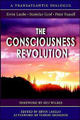 The Consciousness Revolution - Russell, Peter, MD Frcpa (Department of Pathology Duke University Medical Center Durham NC) - Libros - Peter Russell - 9781928586098 - 1 de noviembre de 2003