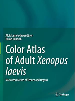 Cover for Alois Lametschwandtner · Color Atlas of Adult Xenopus laevis: Microvasculature of Tissues and Organs (Hardcover Book) [2022 edition] (2022)