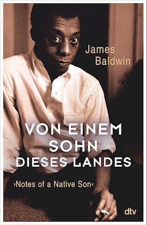 Von einem Sohn dieses Landes - James Baldwin - Livros - dtv Verlagsgesellschaft - 9783423290098 - 15 de junho de 2022