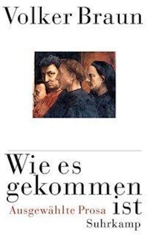 Cover for Volker Braun · Braun:wie Es Gekommen Ist (Book)