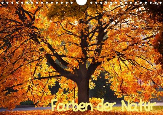 Cover for Gräbner · Farben der Natur (Wandkalender (Bog)