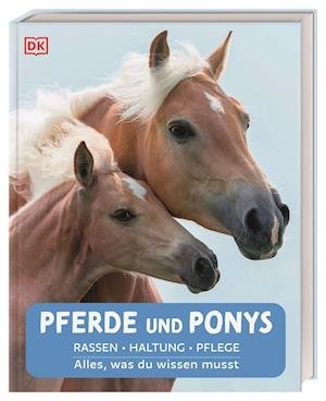 Cover for Bettina Borst · Pferde und Ponys (Hardcover Book) (2021)
