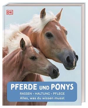 Pferde und Ponys - Bettina Borst - Books - Dorling Kindersley Verlag - 9783831042098 - September 28, 2021