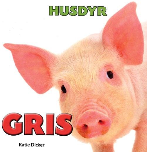 Cover for Katie Dicker · Husdyr: HUSDYR: Gris (Bound Book) [1e uitgave] [Indbundet] (2014)