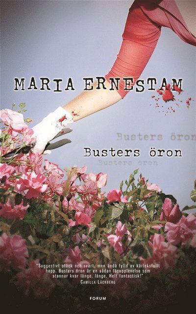 Cover for Maria Ernestam · Busters öron (ePUB) (2009)