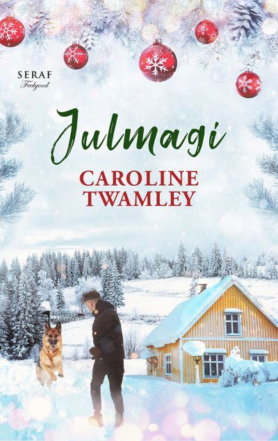 Cover for Caroline Twamley · Julmagi (Book) (2023)