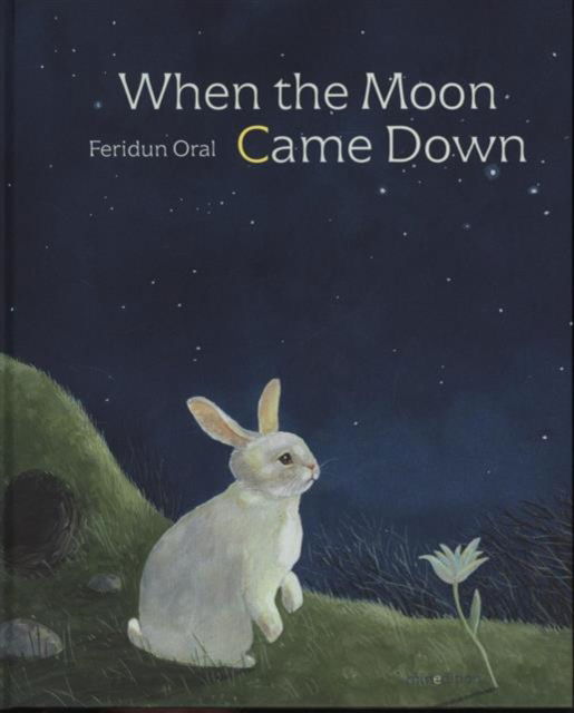 Cover for Feridun Oral · When the Moon Came Down (Hardcover Book) (2014)