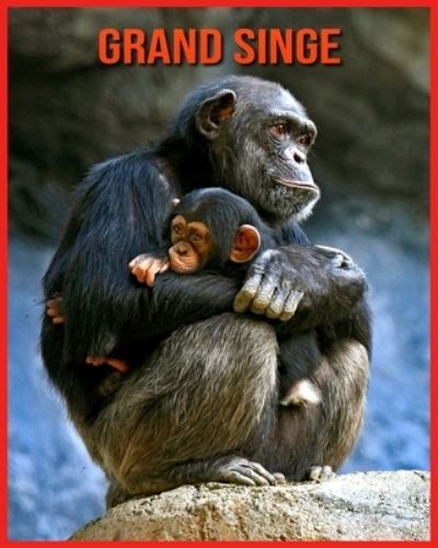 Cover for Linda Davis · Grand Singe (Paperback Book) (2021)