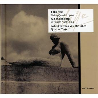 Cover for Brahms · String Quartet (CD) (2012)