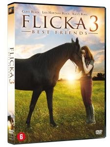 Cover for Flicka 3 (DVD) (2012)