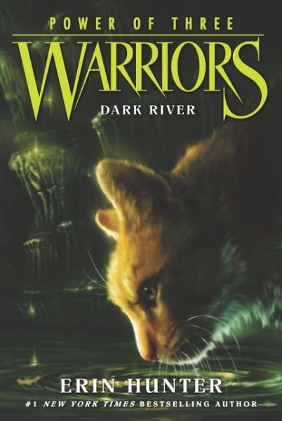 Cover for Erin Hunter · Warriors: Power of Three #2: Dark River - Warriors: Power of Three (Paperback Book) (2015)